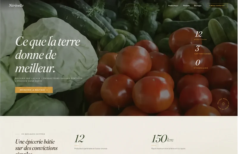 Aperçu de la page d'accueil du site Nérivelle